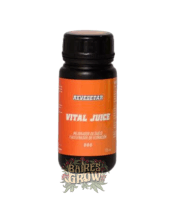 VITAL JUICE REVEGETAR - 125ML