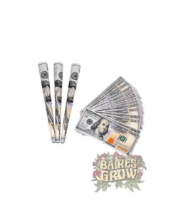 PAPEL DOLAR PARA ARMAR