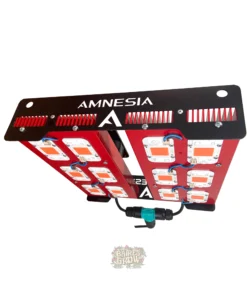 LED AMNESIA PRO  - 600w