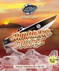 005 black tuna seeds fem samarian sunset e1f4aa9051edc178d417085409610278 1024 1024