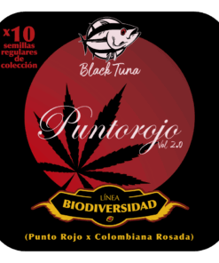 BlackTuna Regular Line 2024 01 PuntoRojoVol2 1.png