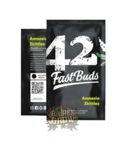 Foto Fastbud Amezia Zkittles Auto x5.png