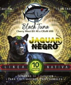 JAGUAR NEGRO  - 10