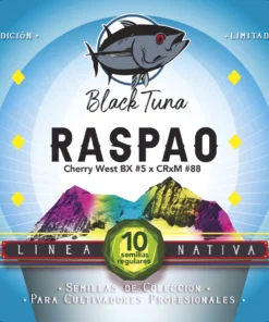 Foto Raspao Black Tuna