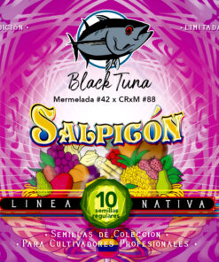 Foto Salpicon Black Tuna