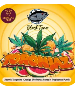 bairesgrow 10d5a71a 1a76 485a 8d20 666b31eda0761310 2.webp