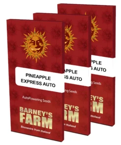 bairesgrow 1626e9be 92e5 490a 9778 e7d41461589c1366 6.webp