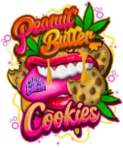 bairesgrow 1a683815 023a 47a7 acc2 b0630ecc0e9912763.webp