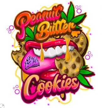 bairesgrow 1a683815 023a 47a7 acc2 b0630ecc0e9912763.webp