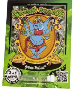 bairesgrow 1b8ebb19 b2e0 4961 8852 4696b015b7b1307.webp