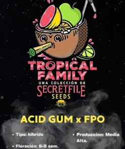 ACID GUM x FPO (TROPICAL FAMILY) - 4