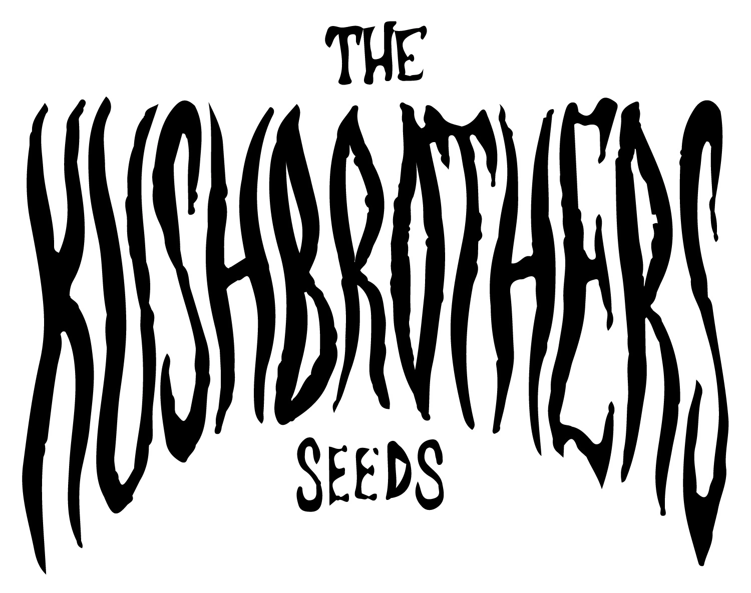 bairesgrow 445837ae e546 4ba1 8a53 ef4f2b51b00612110.webp