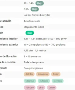 bairesgrow 4882ff00 f6f3 455c b1c2 72e19a890e2a1203 1.webp