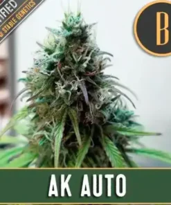 AK - 3
