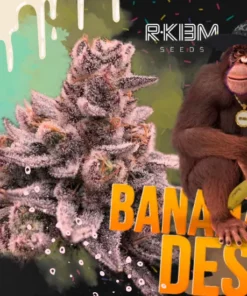 BANANA DESSERT S1