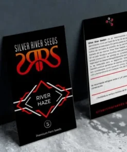 bairesgrow 6e1ddc2f eed4 4b9c adae a4ccf6994b7c1519.webp