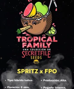 bairesgrow 75482612 6231 4f84 aaae d88e0b78b57d1080.webp