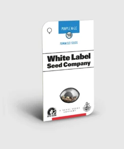 bairesgrow 82dac432 0397 41bb af44 0411bac5a8d312549.webp