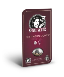 bairesgrow 972828ff 6e34 4c41 8113 260587f4d49d1342.webp