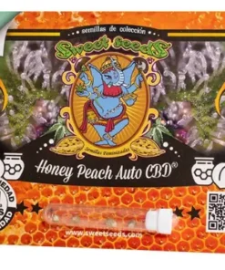 bairesgrow 996d1390 8395 41ba 8155 e3b683331b9c322.webp