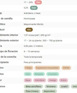 bairesgrow 9d2e6fb1 5210 4fcc 8a16 d82907accc6a1165.webp