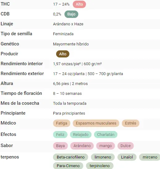 bairesgrow 9d2e6fb1 5210 4fcc 8a16 d82907accc6a1165.webp