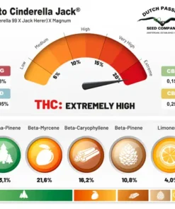 bairesgrow a1324e10 6e8d 4e8b ac7c 2d7937d24953964.webp