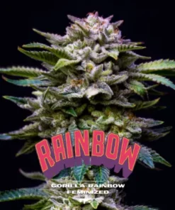 bairesgrow ac586165 624e 4777 af05 7cdc7615b14c409.webp