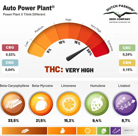 bairesgrow add29263 1f14 41e7 8dca af615dfd187b987.webp