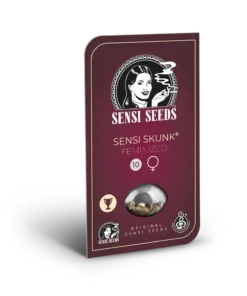 bairesgrow b2964e70 c06b 46e9 8c71 d2a612503a971343.webp