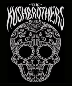 bairesgrow c28bad03 5cd6 4171 9e00 5b5a8fa4f1651543.webp