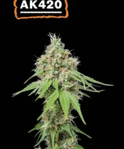 AK 420
