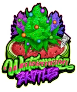 bairesgrow c7a5b6b4 c403 4390 b2f3 9e35d92f9b1112769.webp