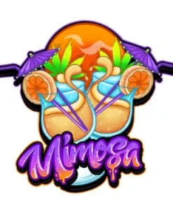 bairesgrow cbae2677 e4c6 4441 9a84 f8153812898212762.webp