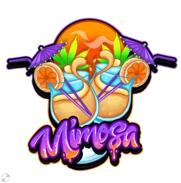 bairesgrow cbae2677 e4c6 4441 9a84 f8153812898212762.webp