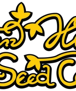 bairesgrow cc28bc40 4f06 4fd2 84d8 4974b984d3ee494.webp