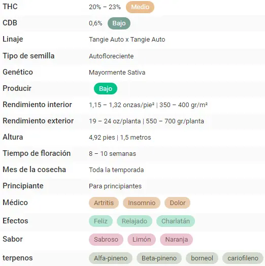 bairesgrow cd5f9726 c2f0 457a 80db 2d531838c6221193 1.webp