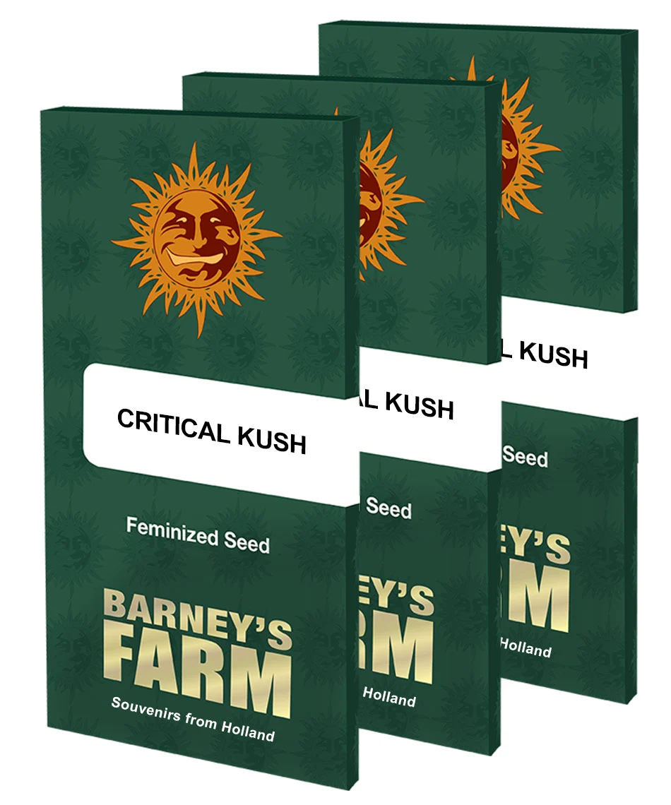 bairesgrow d0768491 e8b8 4d3e 9b9c 9d7fda30bb571382 2.webp