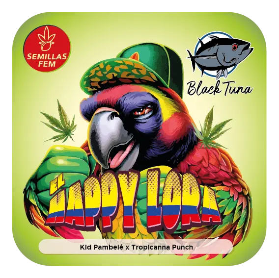 bairesgrow da65c214 3173 4b38 b45d 52273c0fbf3e1306 2.webp