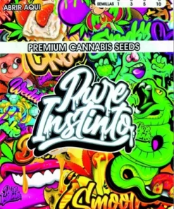 bairesgrow efb80632 4c1e 450c aac7 47d83fc0686e12769.webp