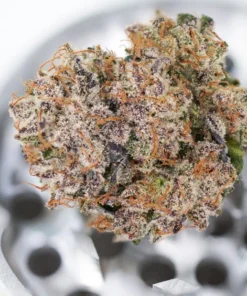 bairesgrow f02ca031 3ed4 4a23 b20f ce569d981666981.webp