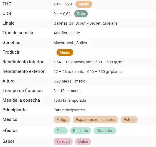 bairesgrow f4f44f28 bb83 481d ba51 55e68c5aaf481195 1.webp