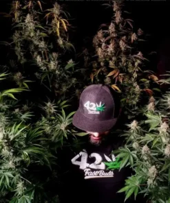 MIX PACK AUTO