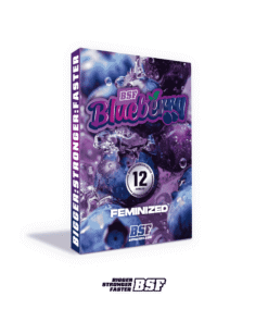 BLUEBERRY FEM