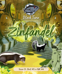 zinfandel