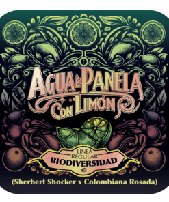 AGUA E PANELA