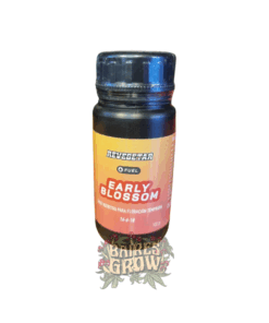 Foto Early Blossom 100ml 2.png