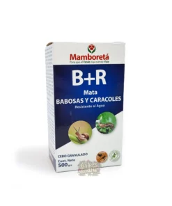 MAMBORETA B + R
