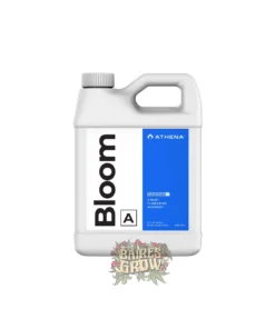 ATHENA | BLOOM A