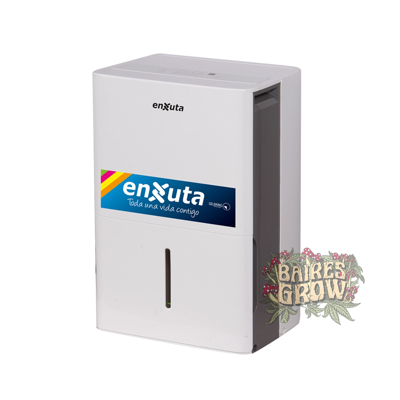 bairesgrow 138a04af a1f7 4348 b3b4 adfa2db23ca112334 1 1.webp